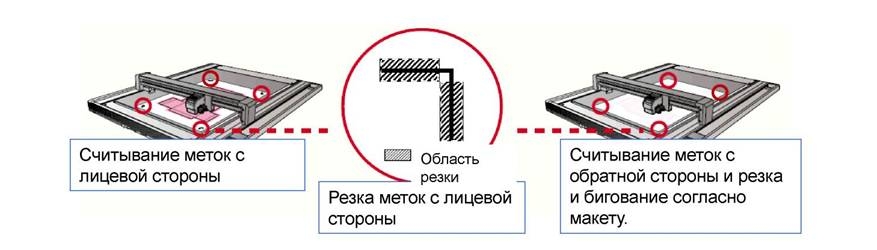 биговка с обратной стороны